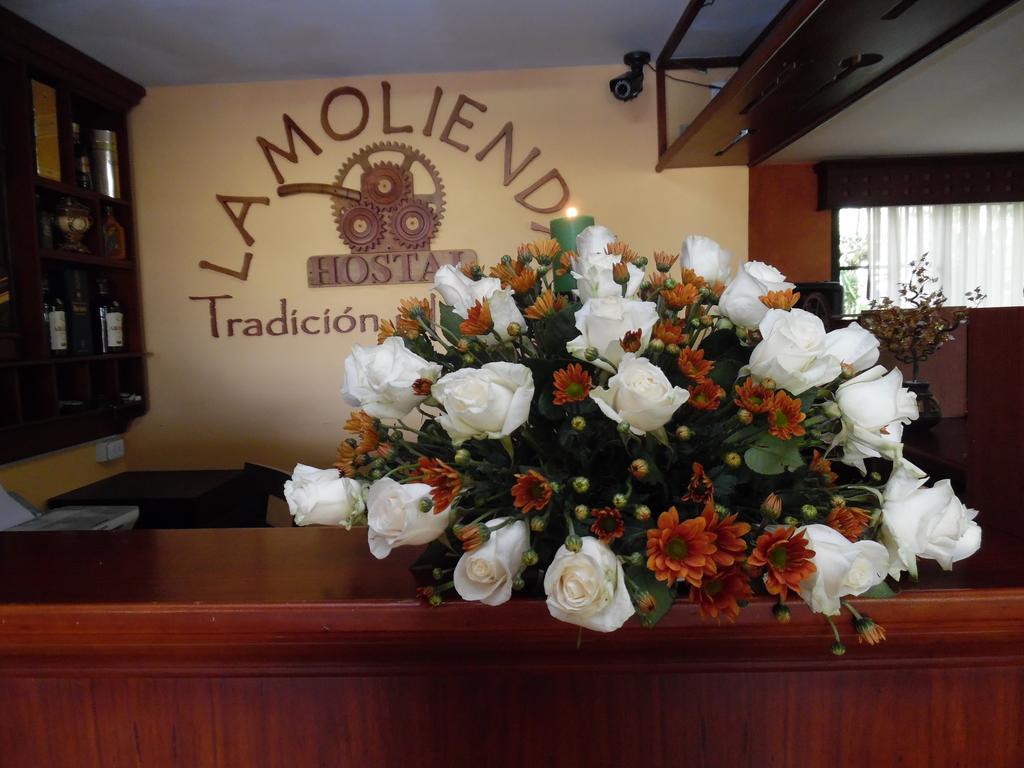 Hostal La Molienda Puyo Extérieur photo